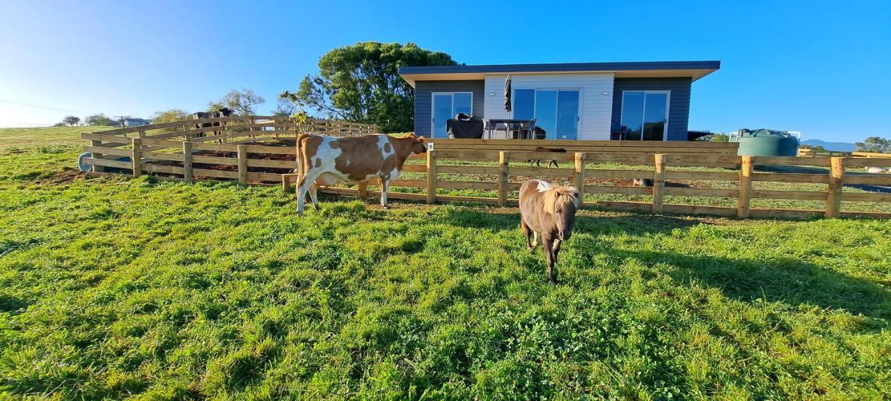 Country Comfort - Only 10 Minutes From Hamilton Cbd Buitenkant foto