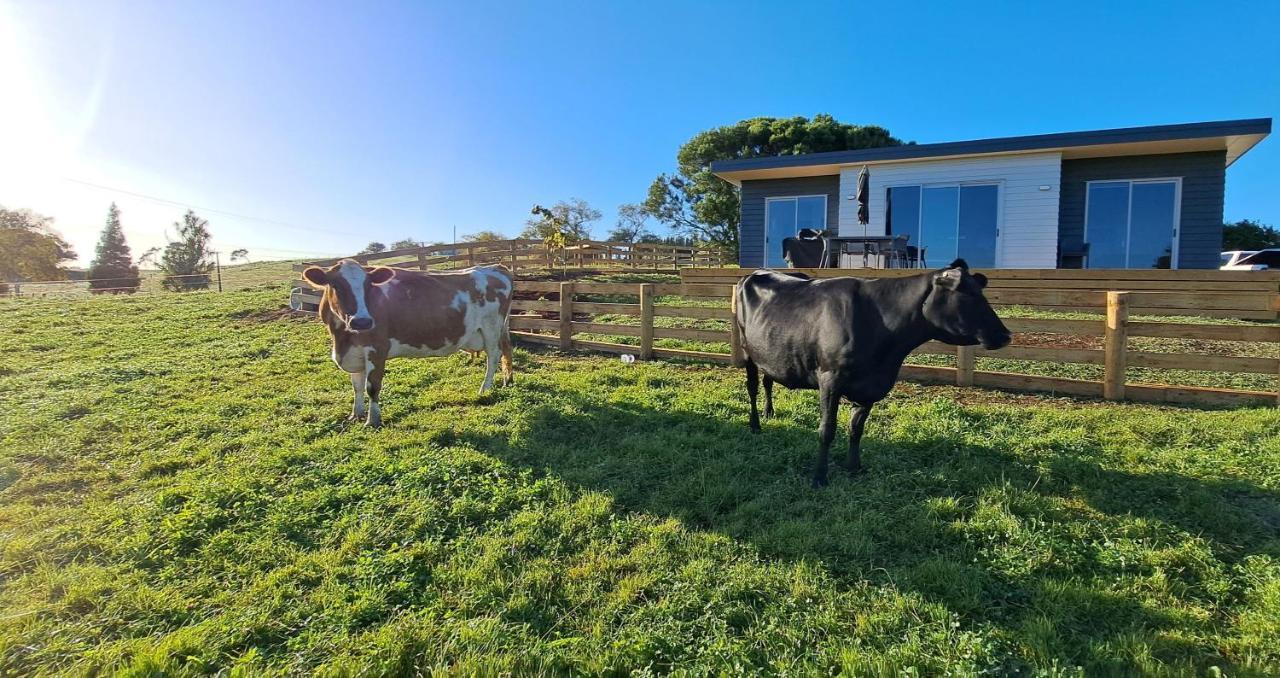 Country Comfort - Only 10 Minutes From Hamilton Cbd Buitenkant foto