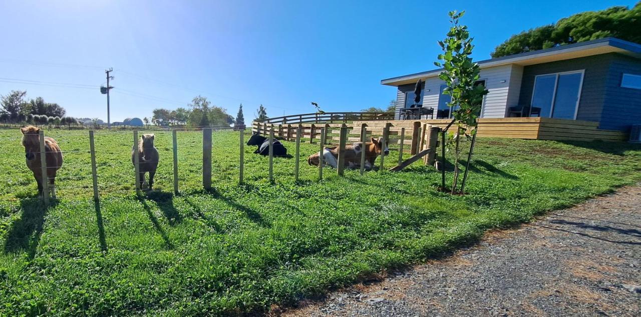 Country Comfort - Only 10 Minutes From Hamilton Cbd Buitenkant foto