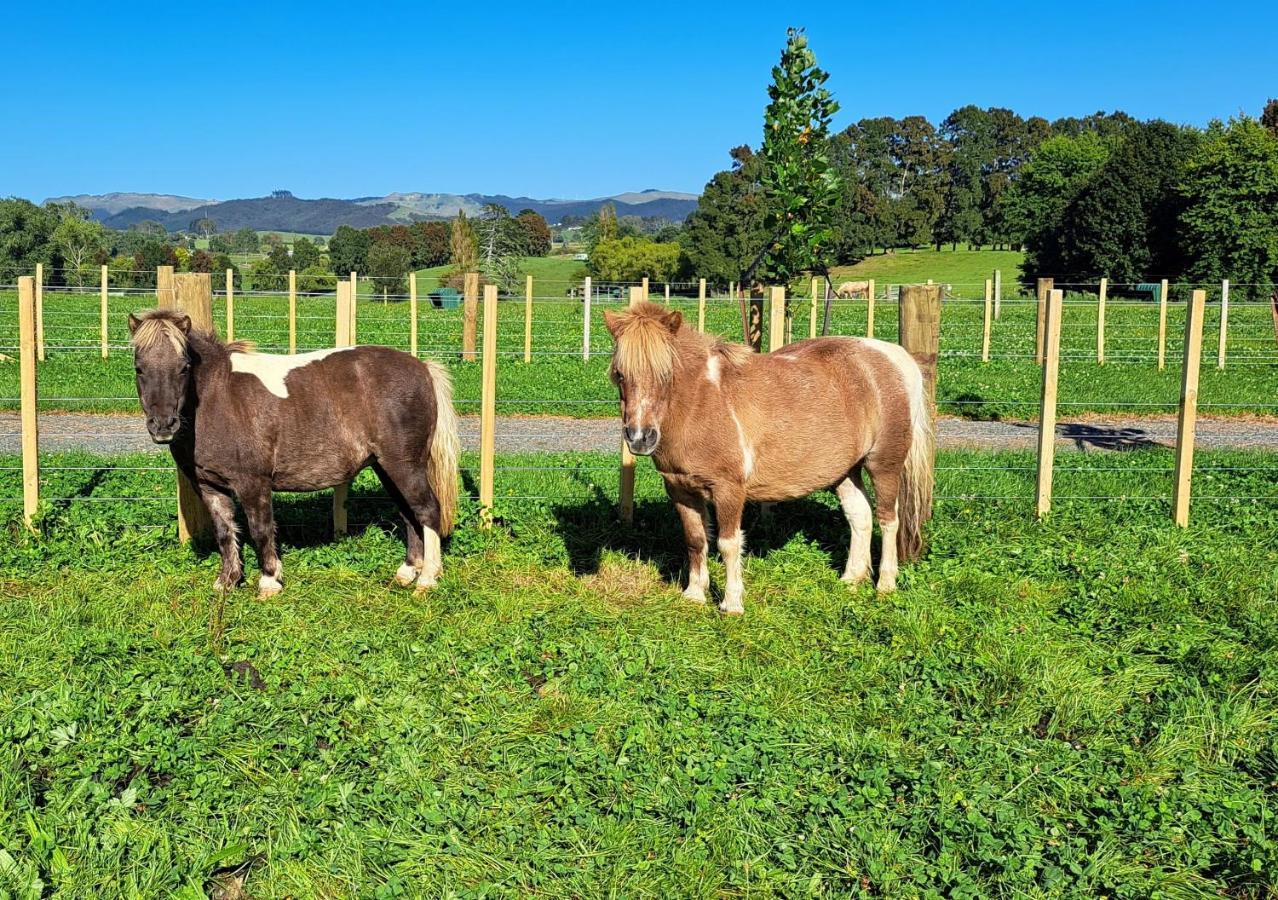 Country Comfort - Only 10 Minutes From Hamilton Cbd Buitenkant foto