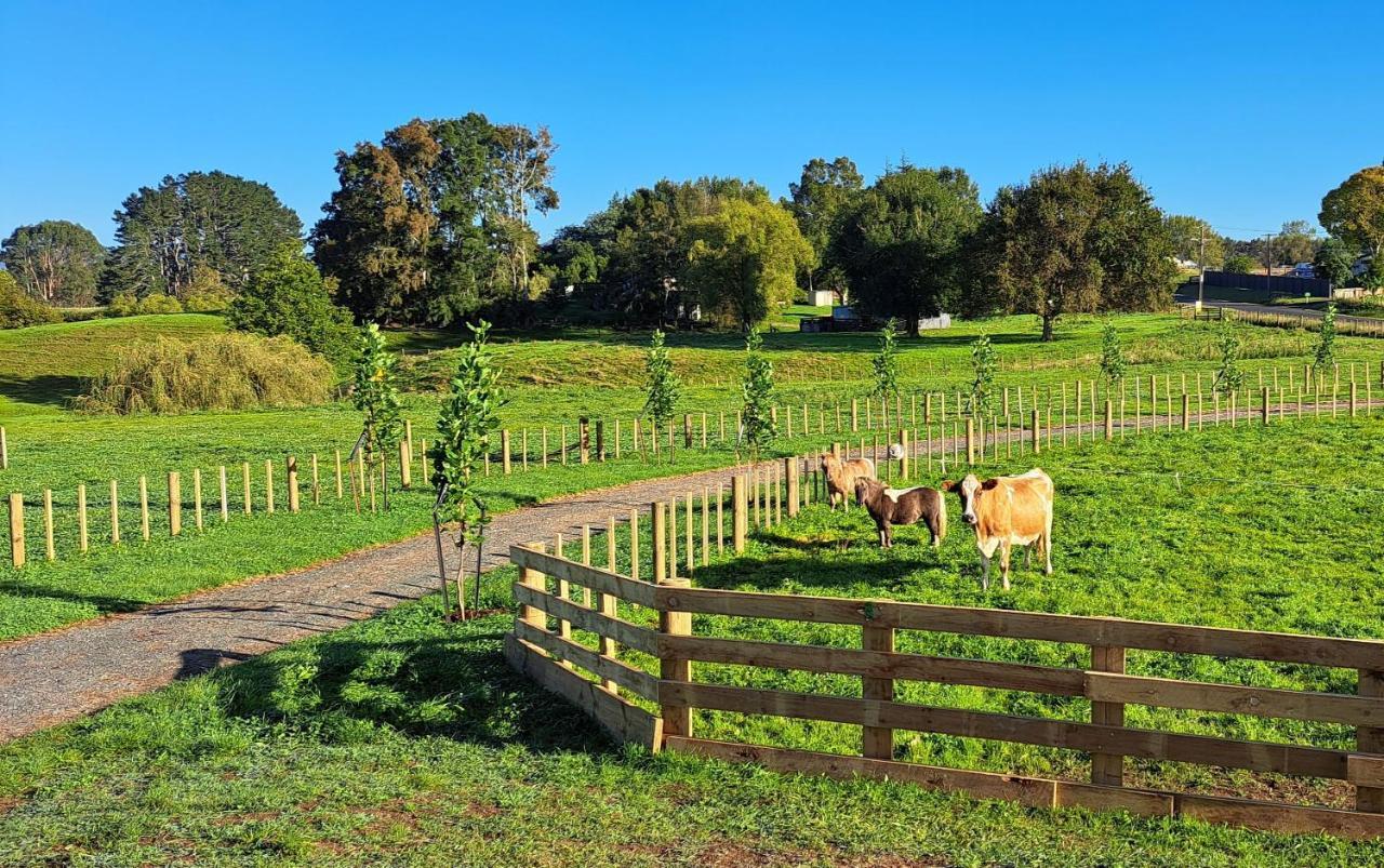Country Comfort - Only 10 Minutes From Hamilton Cbd Buitenkant foto
