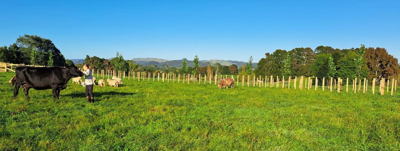 Country Comfort - Only 10 Minutes From Hamilton Cbd Buitenkant foto