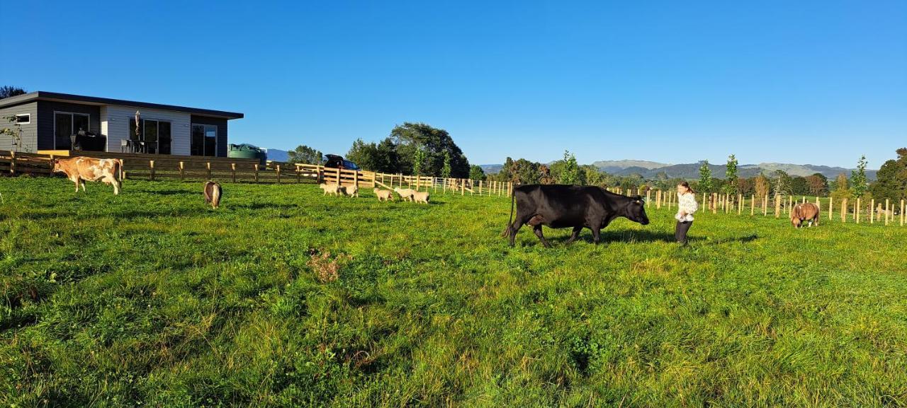 Country Comfort - Only 10 Minutes From Hamilton Cbd Buitenkant foto
